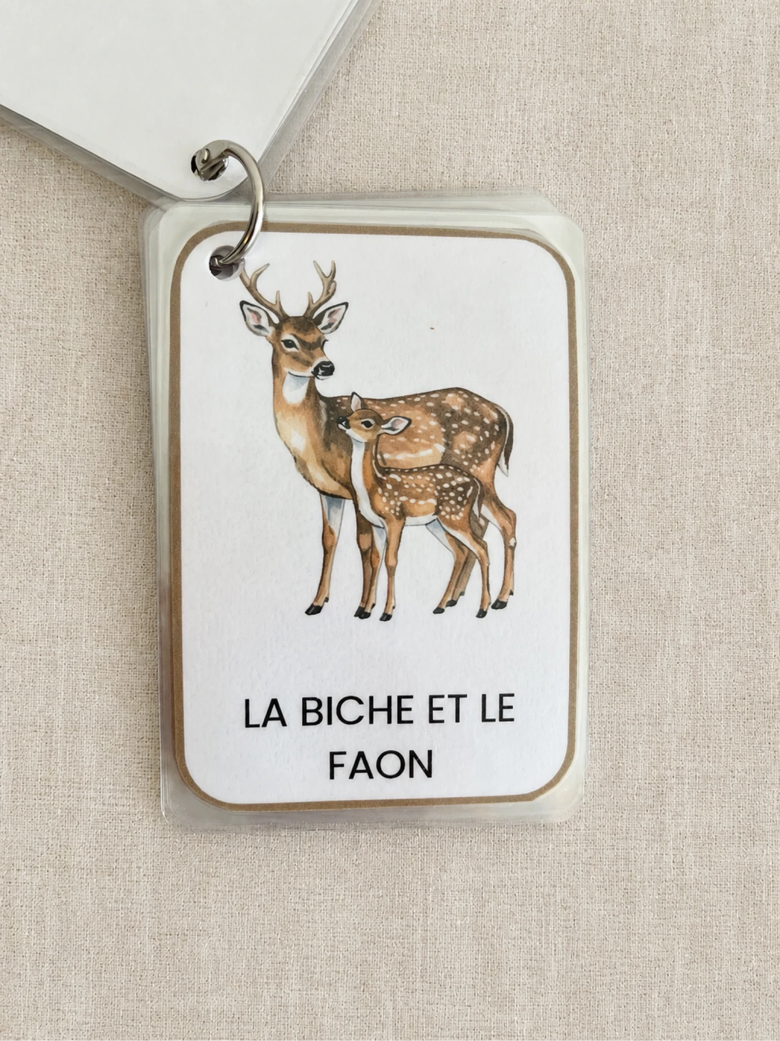 Mon imagier des animaux de la forêt  – photo 2